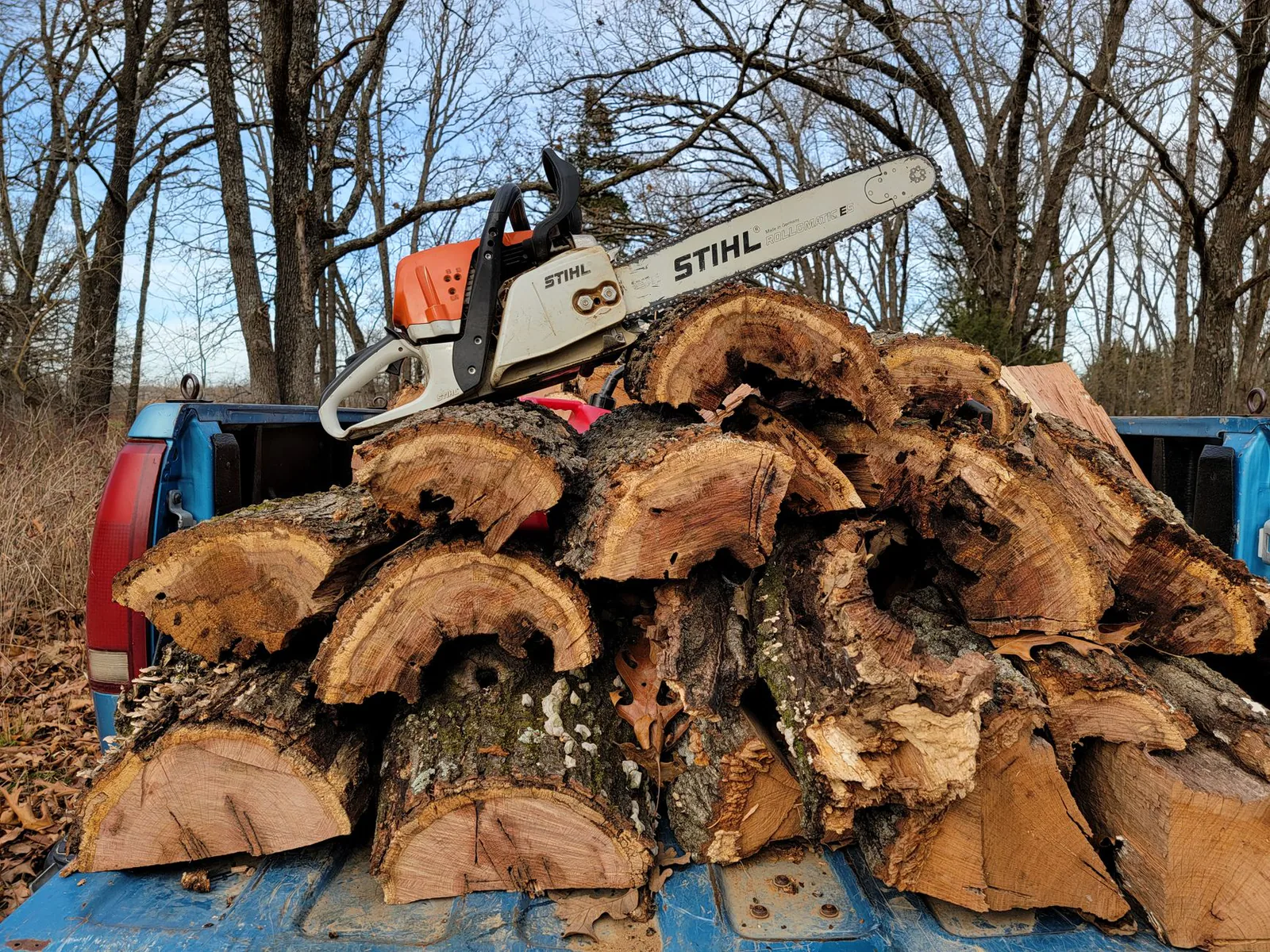 Chainsaw resting on freshly cut logs