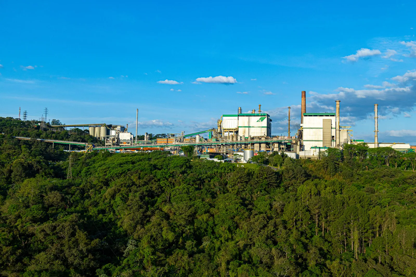 Pulp mill surrounded by forest