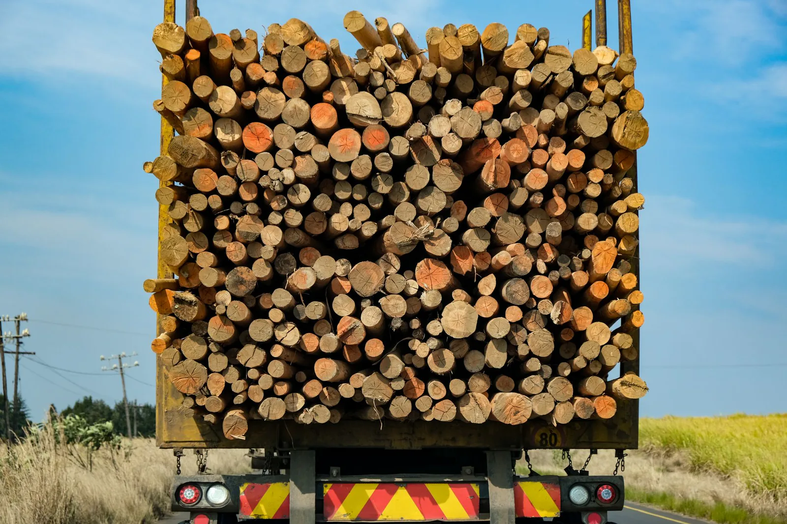Log truck loaded with cut trees on a rural road near Dayton, Washington
